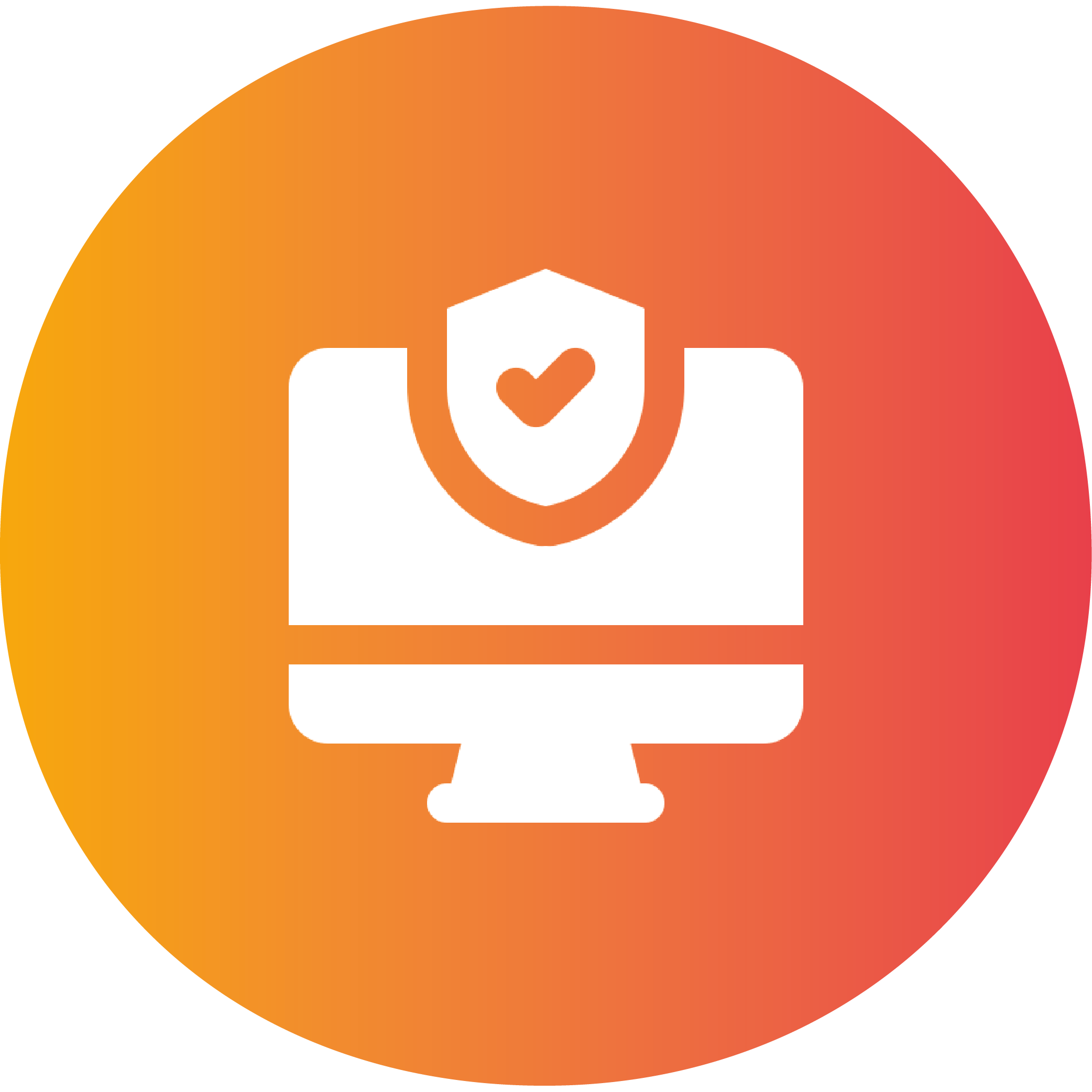 Icon Digitaler Datenschutz Webseite
